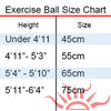 Exercise Balls 65cm - Sissel