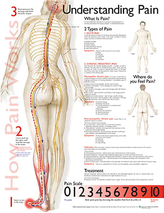 Understanding Pain