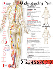 Understanding Pain